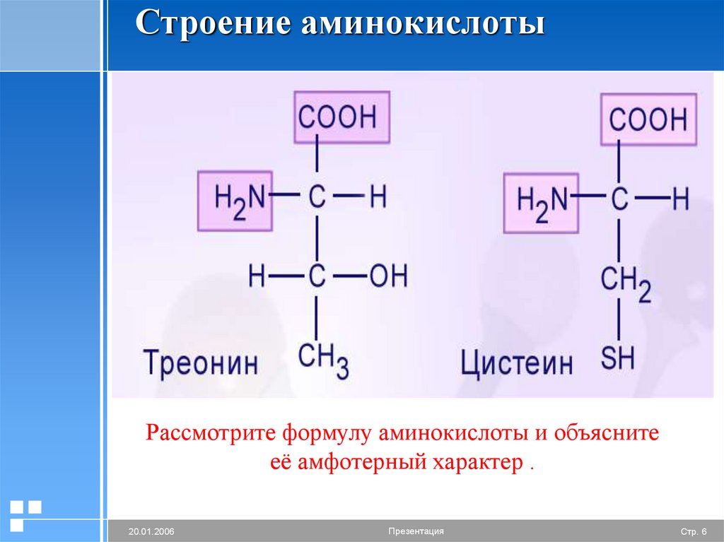 Структура аминокислот. Аминокислота строение формула. Строение Альфа аминокислот. Схематическое строение аминокислоты. Структурное строение аминокислот.