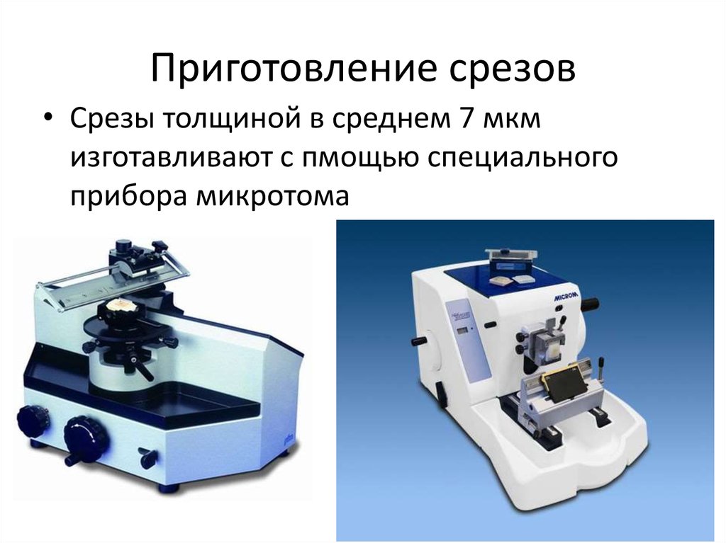 Приготовление срезов