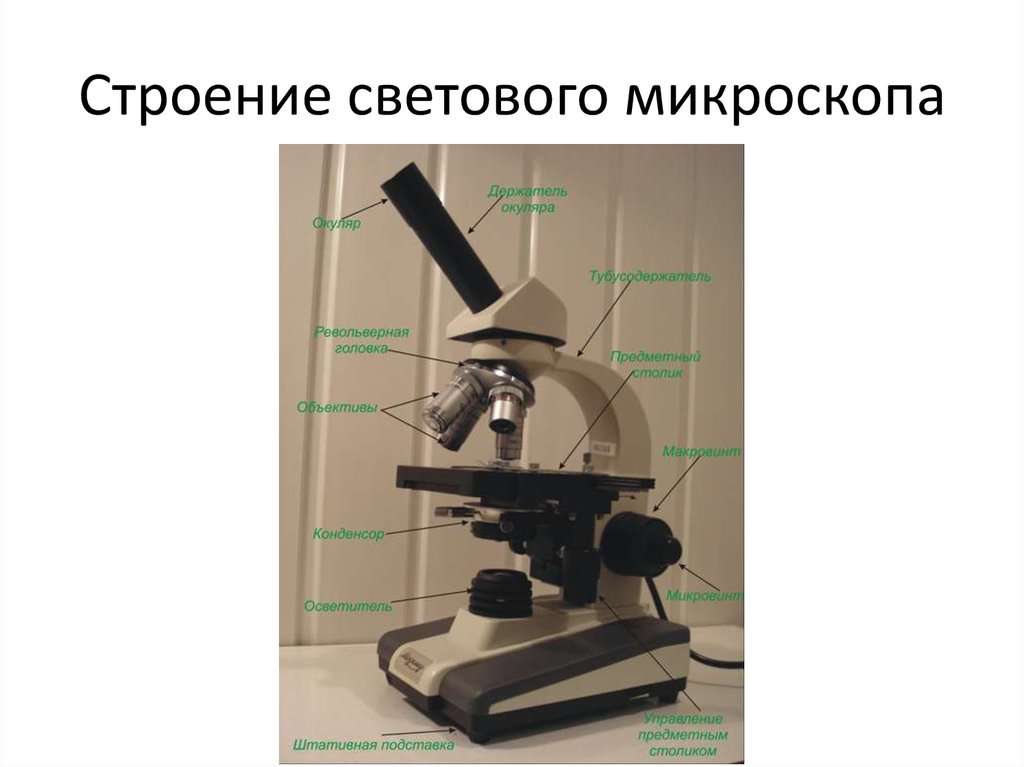 Состав цифрового микроскопа. Строение микроскопа 5 класс биология. Световой микроскоп строение конденсор. Строение цифрового микроскопа 5 класс биология. Строение микроскопа осветитель для микроскопа.
