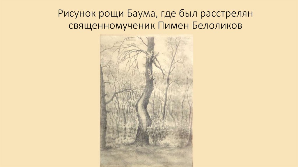 Рисунок рощи Баума, где был расстрелян священномученик Пимен Белоликов