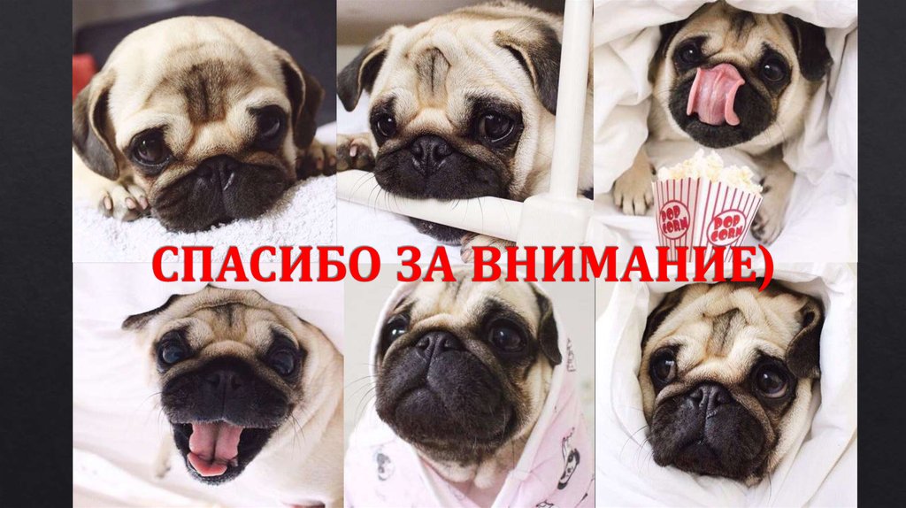 СПАСИБО ЗА ВНИМАНИЕ)