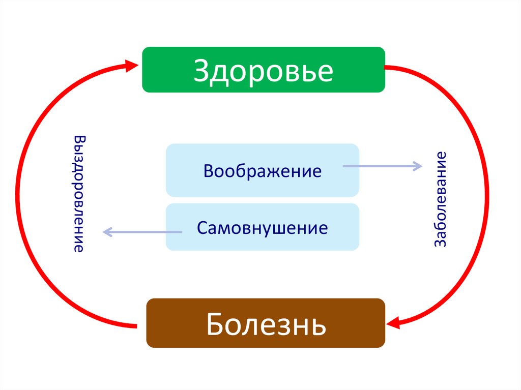 Практическая история