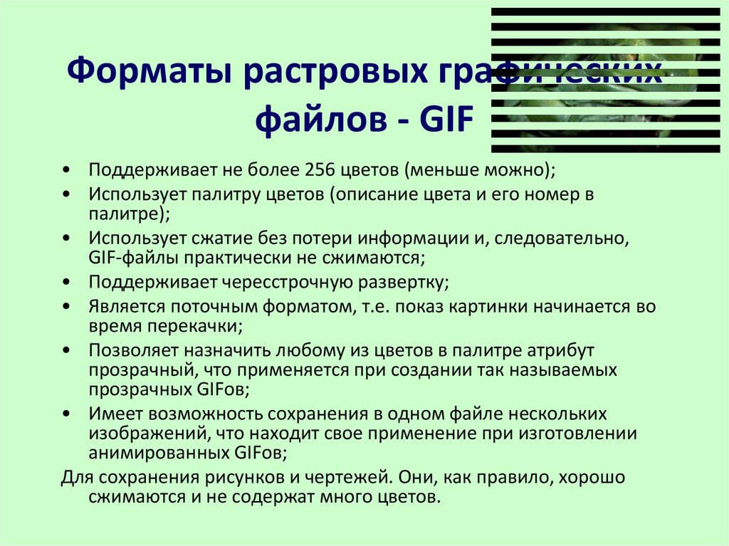 Форматы растровых графических файлов - GIF