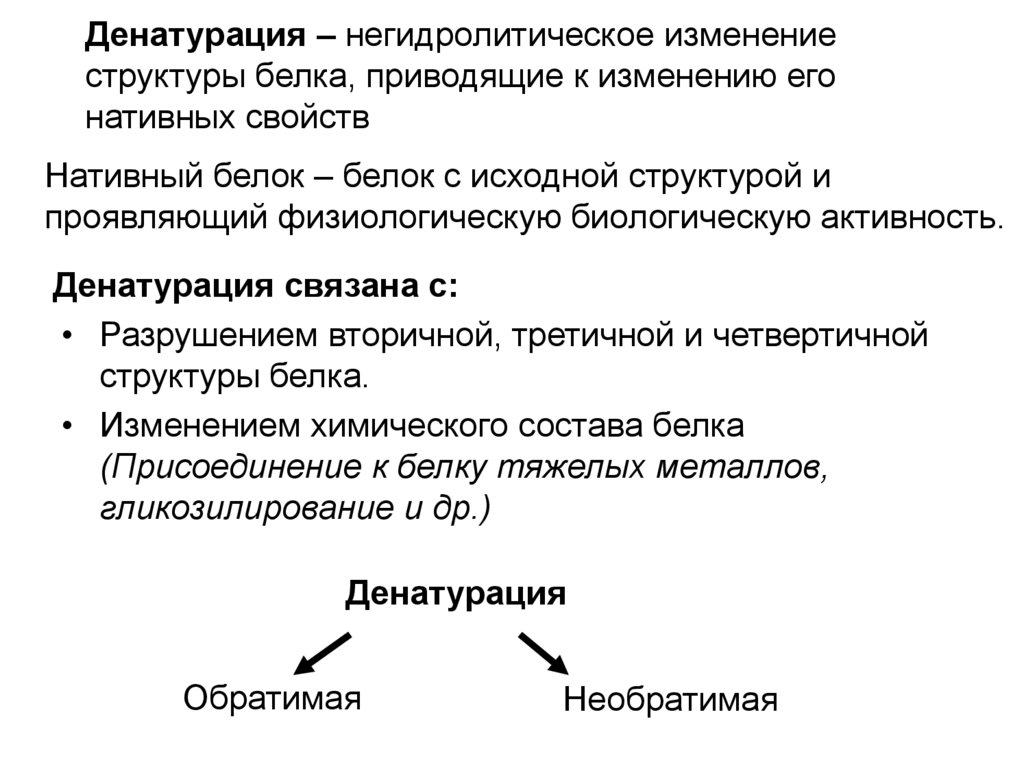 Обеспечивает модификацию белков