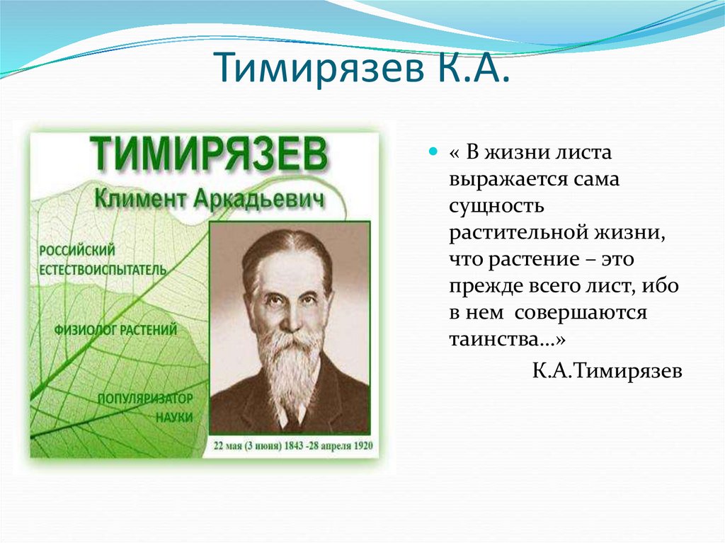 Биография тимирязева