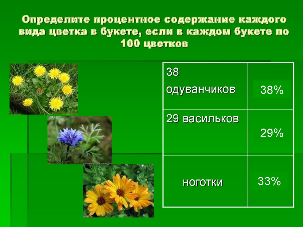 Определите процентную. Зеленая аптека Кузбасса. Определение процента цвета на картинке. В букете было 8 Васильков а ромашек на 2 больше. Цветок узнать процент где его выращивать.