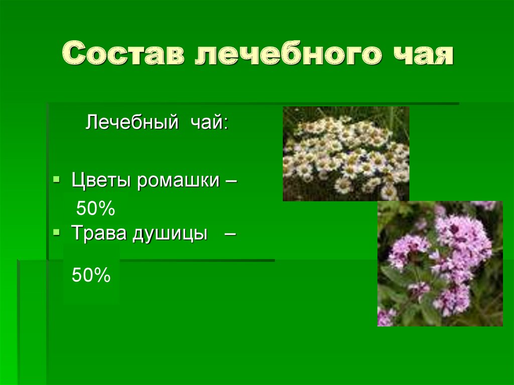 Какие растения входят. Ветрогонный чай. Зеленая аптека Кузбасса. Ветрогонный чай состав. Ветрогонные травы список.