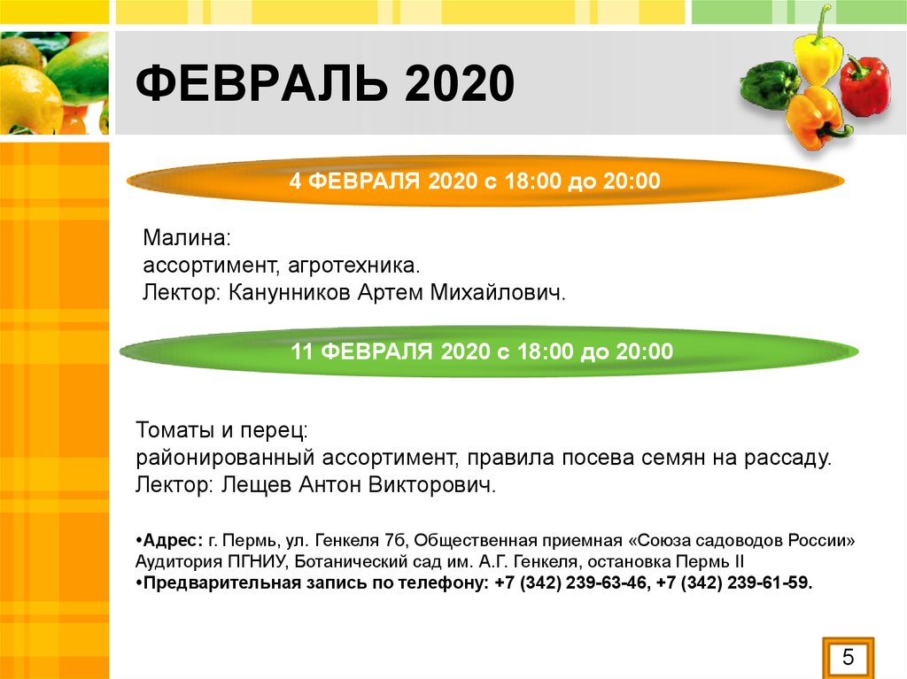 ФЕВРАЛЬ 2020