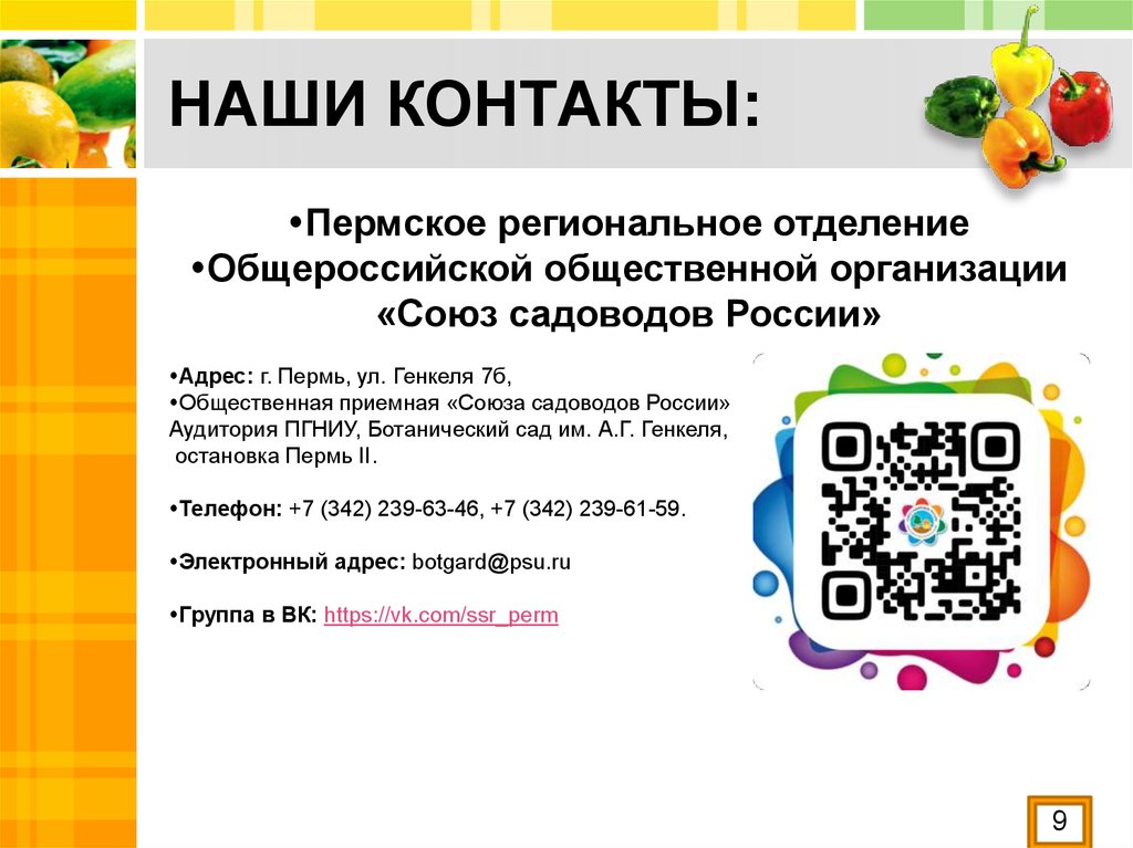 НАШИ КОНТАКТЫ: