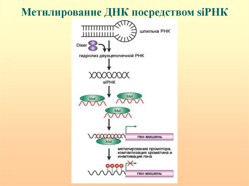 Эпигенетика систем арт