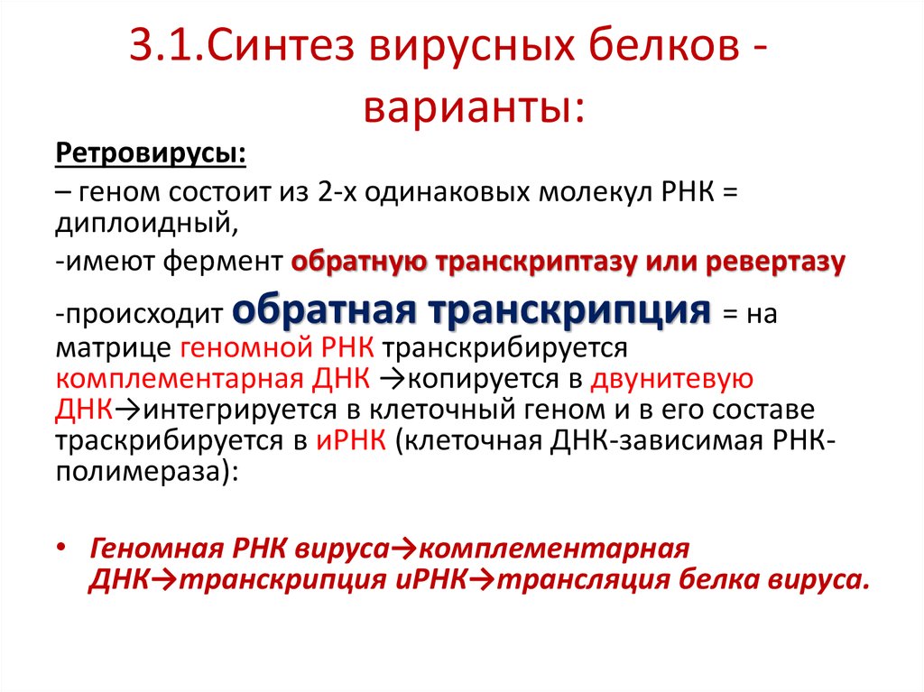 Укажите где осуществляется синтез вирусного белка