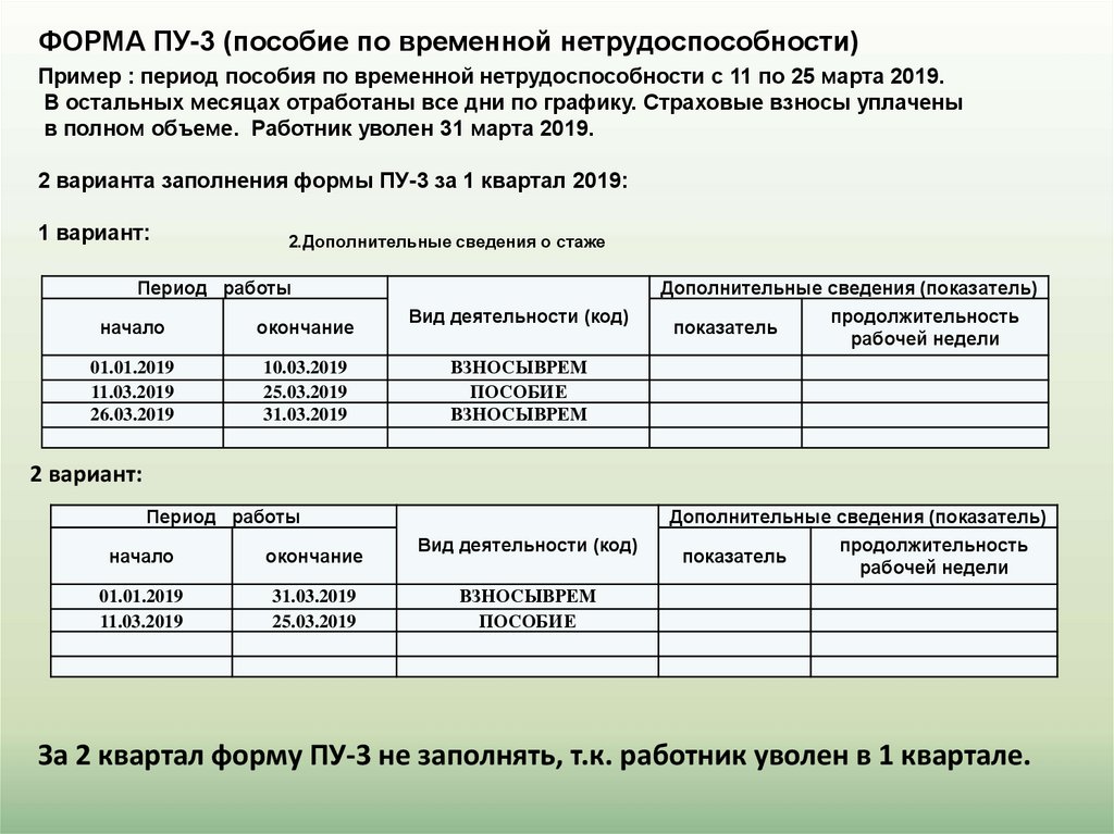 Персонифицированные сведения образец