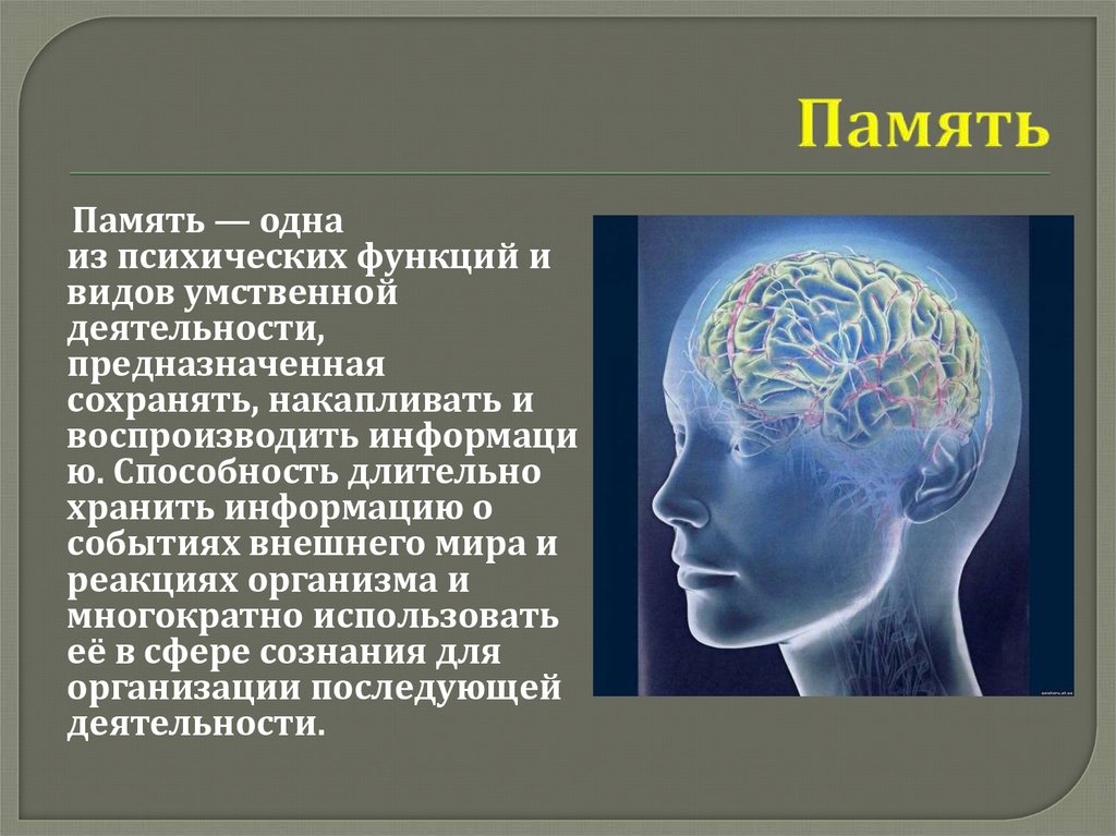 Психические нарушения памяти. Память человека. Память человека психология. Психология тема память. Информация на тему память и мышление.