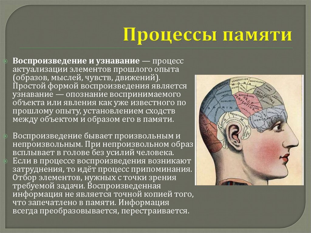 Процессы памяти человека. Процессы памяти. Процессы памяти запоминание. Процессы памяти в психологии.