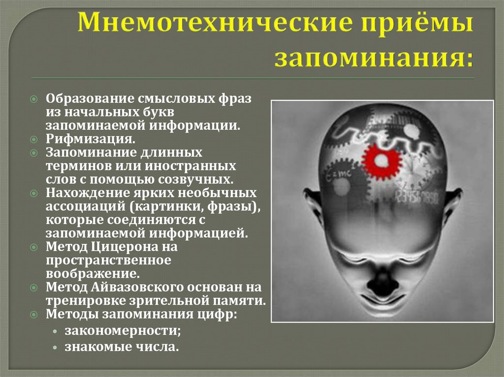 Память одно из свойств интеллекта но одной памяти для высокого интеллекта недостаточно