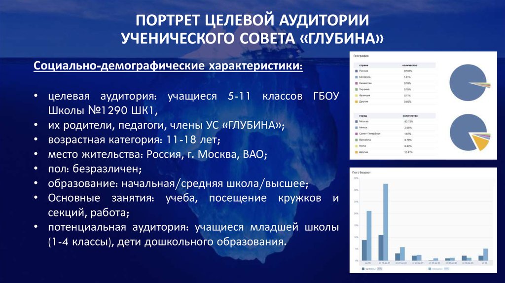 Портрет целевой аудитории