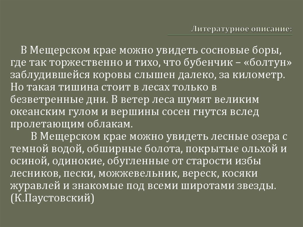 Литературное описание источника. Литературное описание. Описание в литературе это. Как литературно описать.