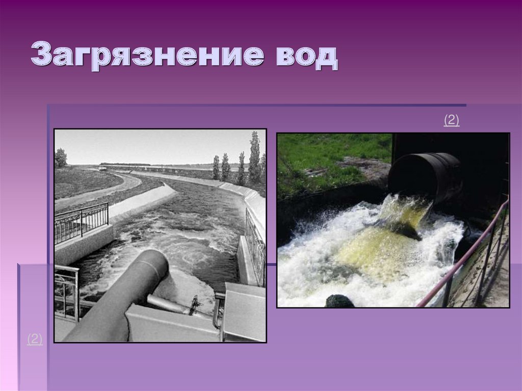 Загрязнение здоровья человека. Влияние загрязнения воды. Влияние водных загрязнений на человека. Влияние окружающей среды вода. Загрязнение воды на здоровье человека.