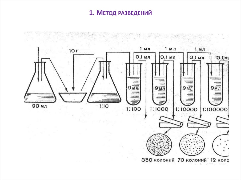 Метод 1 10. Метод Пастера (метод разведений). Метод последовательных разведений микробиология. Метод Коха метод серийных разведений. Метод Пастера (метод разведений) этапы.