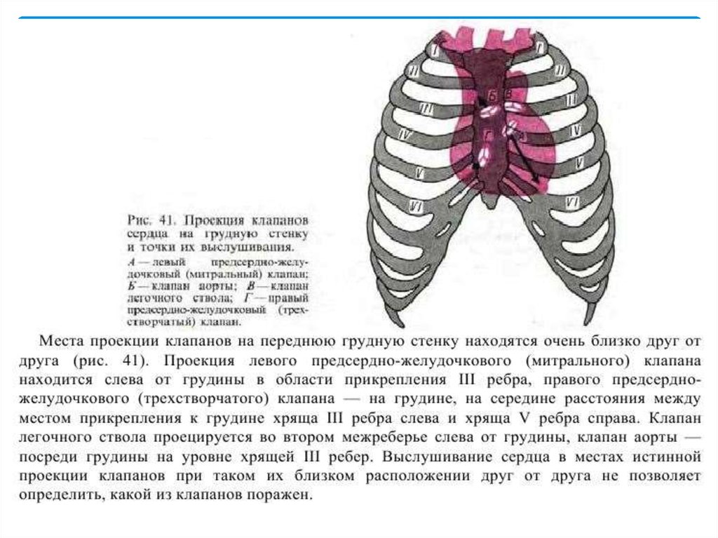 Проекция сердца на грудную. Проекция клапанов сердца на грудную клетку и точки. Точки проекции клапанов на переднюю грудную стенку. Проекция клапанов сердца на грудную стенку. Проекция сердца на переднюю стенку грудной клетки.