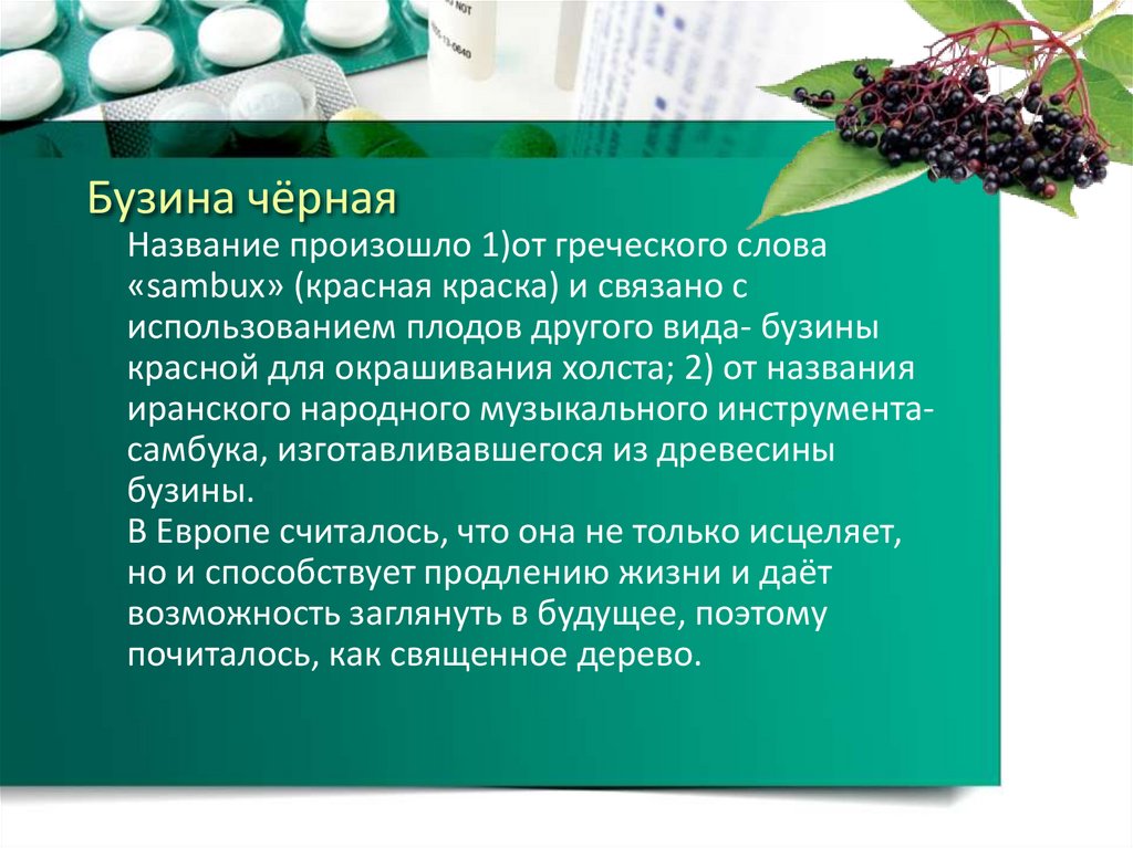 Слова происходящие от греческих слов. Название этого растения произошло от греческого порождающий чистоту. Лацивит Бузина иммунитет. От греческого слова здоровье. Глюкос от греческого.