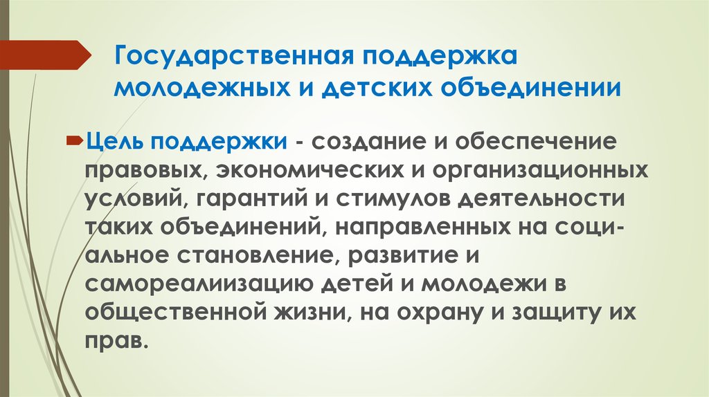 Государственная поддержка молодежных проектов