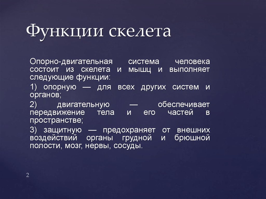 Функции скелета. Функции скелета животных. Антигравитационная функция скелета. Функции скелетной системы.