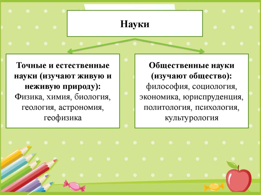 Что такое объект в обществознании