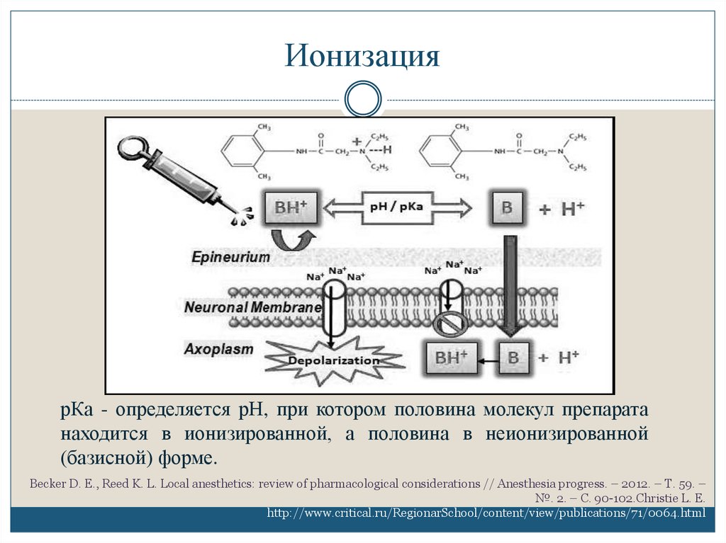 Системная токсичность