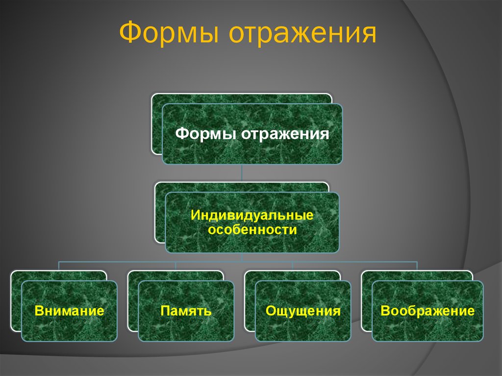 Формы отражения. Формы отражения в философии. Назовите формы отражения.. Три основных формы отражения.