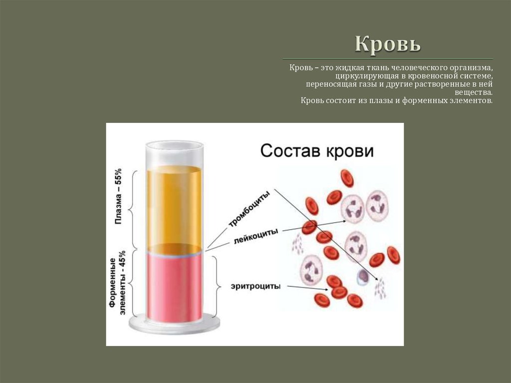 Элементы составляющие кровь