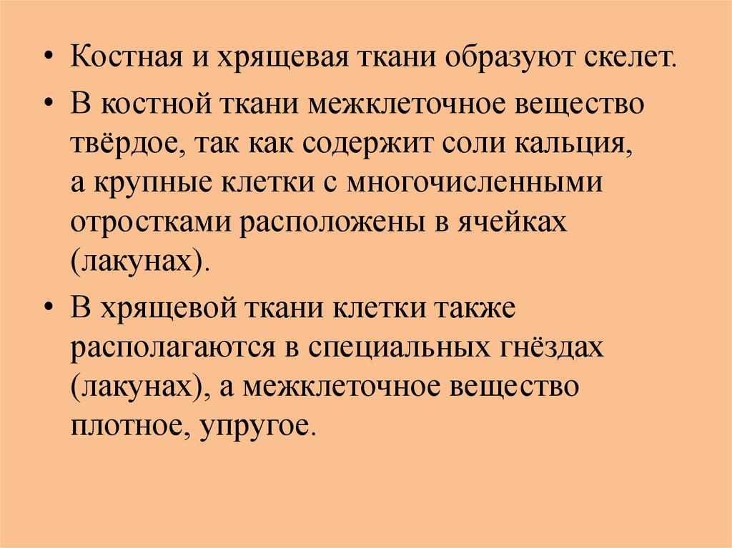 Какая ткань образует скелет. Какие ткани образуют скелет человека. Эти ткани образуют скелет человека.