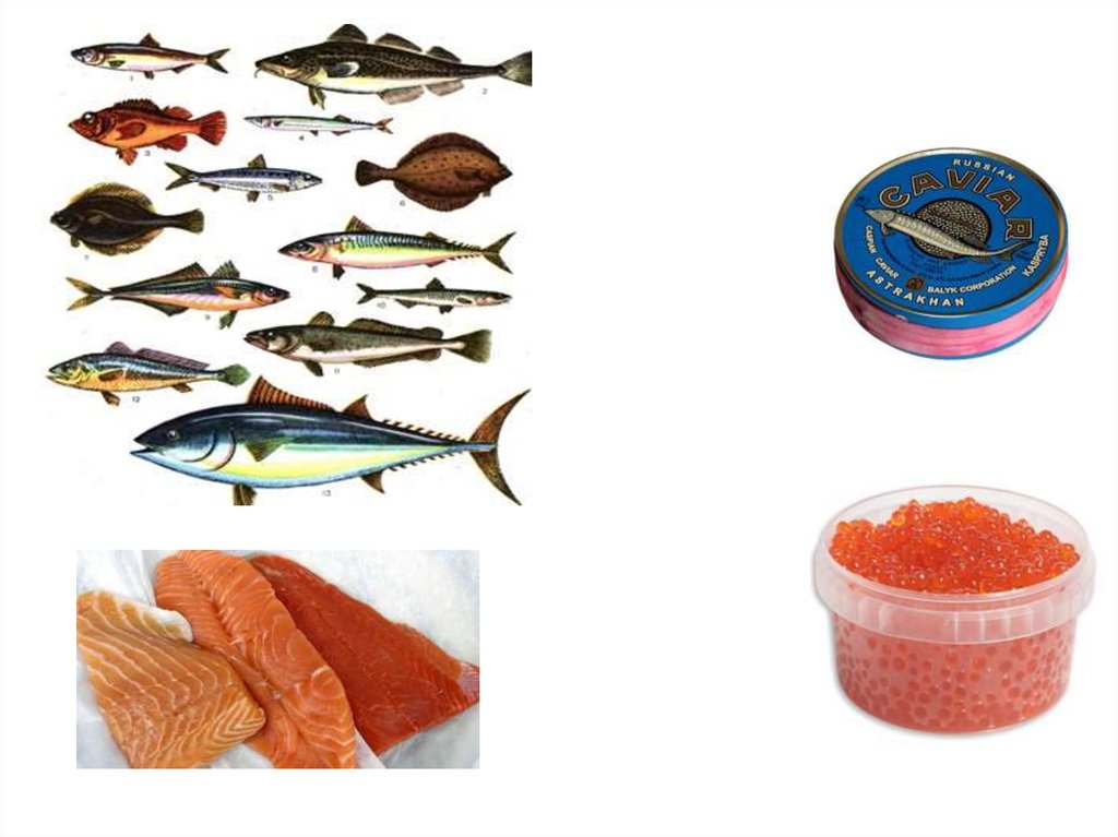Рыба состав белки. Скумбрия белки. Красная рыба состав. Рыбки финские состав.