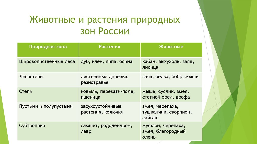 Установите соответствия между природными зонами и их изображениями