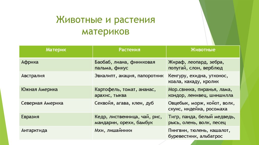 Окружающий мир 4 класс впр презентация