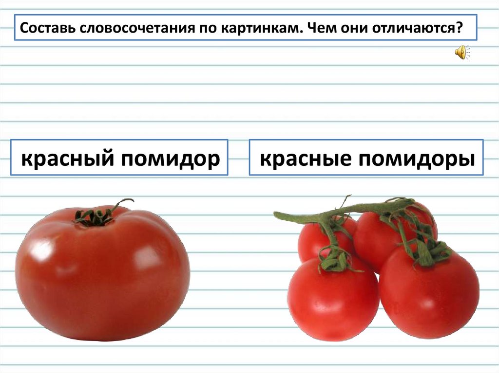 Помидор множественное число. Томаты множественное число. Предложение про помидор. Понимание единственного и множественного числа прилагательных. Помидоры в единственном числе.