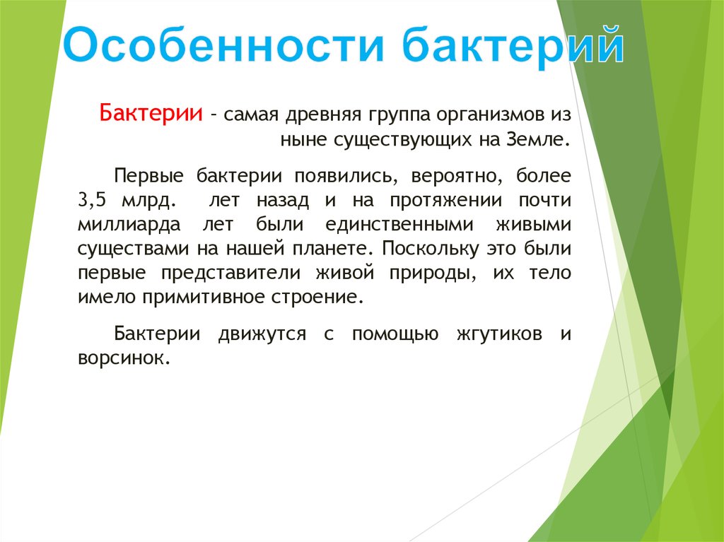 Десять особенность. Особенности бактерий. Основные особенности бактерий. Главная особенность бактерий. Главные особенности бактерий.