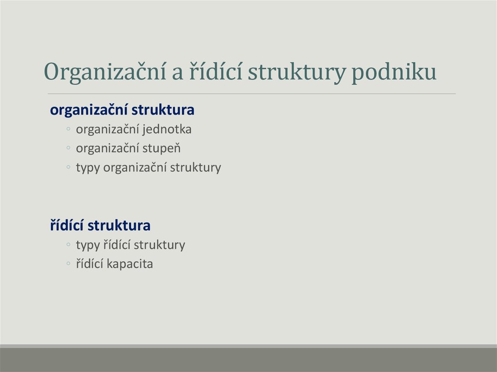 Organizační a řídící struktury podniku