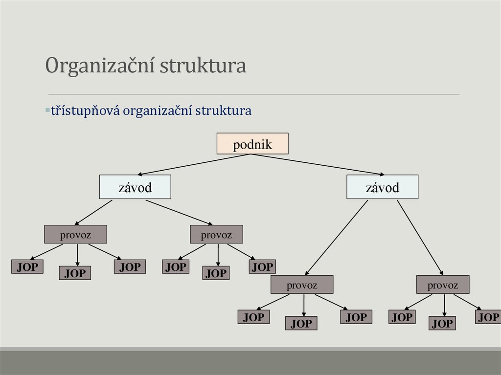 Organizační struktura