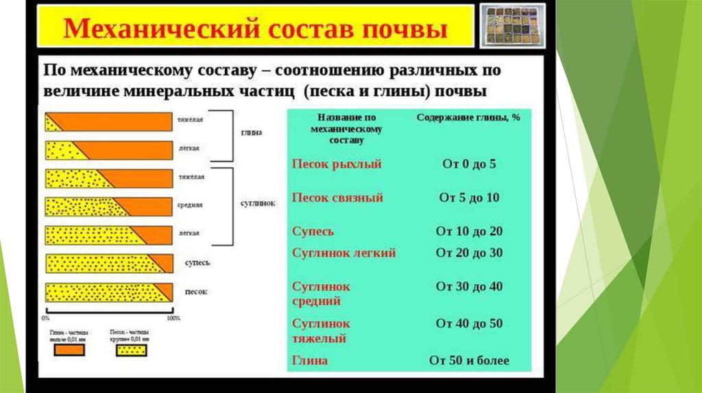 Механические части почвы. Механический состав почв - % соотношение песка и глины. Механический состав почвы. Почвы по механическому составу. Типы почв по механическому составу.