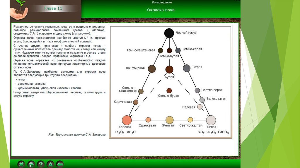 Цвет почвы. Окраска цвет почвы треугольник Захарова. Треугольник Захарова почвоведение. Треугольник почв. Треугольник цветов почв по Захарову.