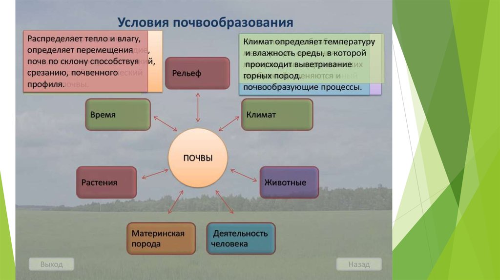 Курсовой проект по почвоведению