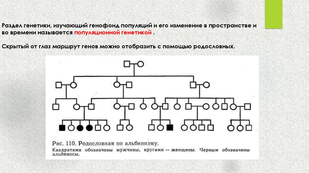 Изображение предмета сделанное воспитателем называется