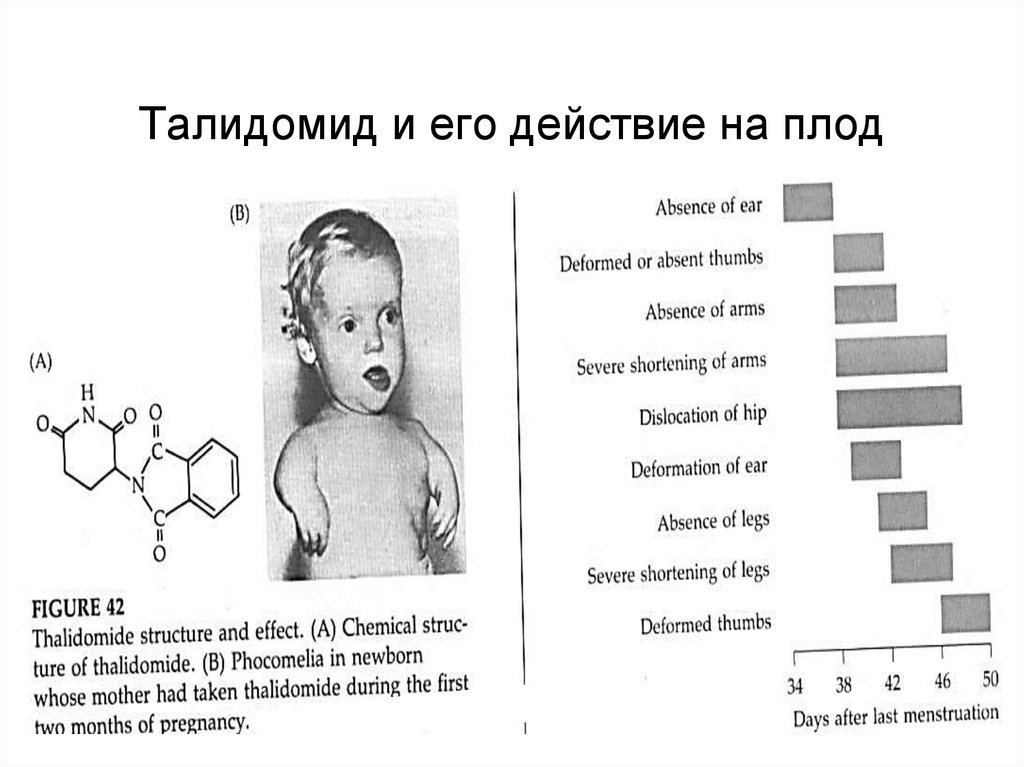 Талидомидовая трагедия презентация