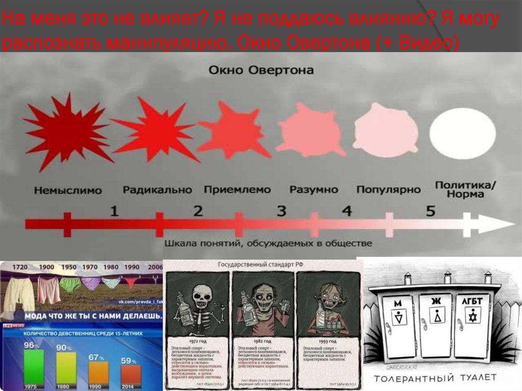 Окно овертона презентация