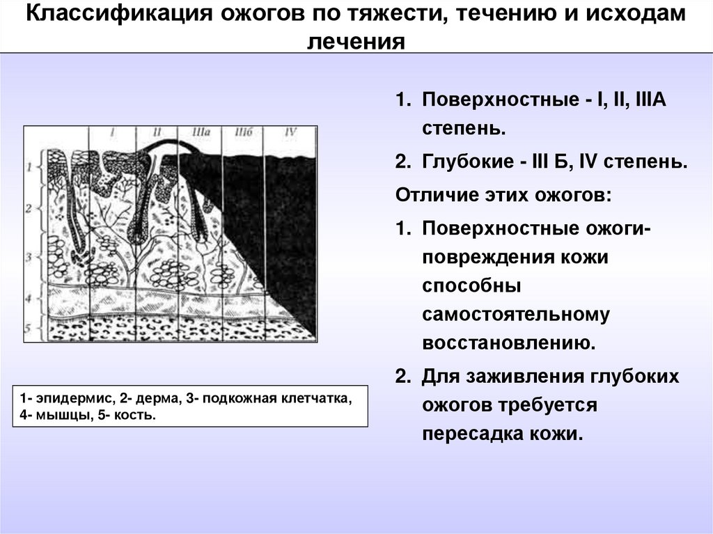 Каковы признаки поверхностного. Ожоги классификация по степени тяжести. Поверхностные и глубокие ожоги. Ожоги по классификации.