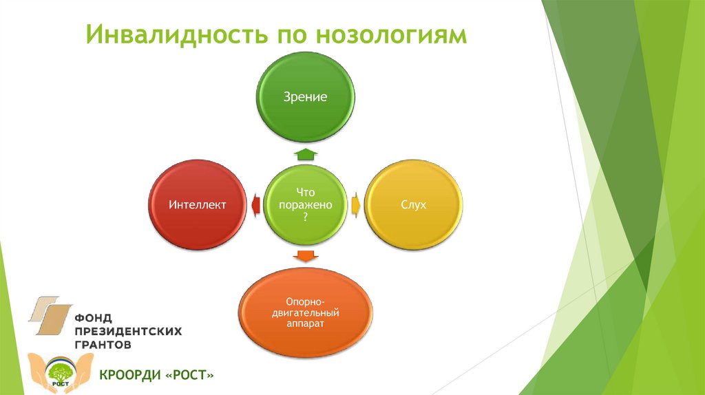 Нозология слуха. Основные нозологические группы инвалидов. Классификация детей инвалидов. Нозологии инвалидности.