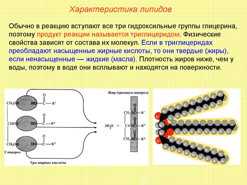 Липиды строение строение. Строение молекулы липоида липоидов,. Хим строение липидов. Химическое строение липидов.