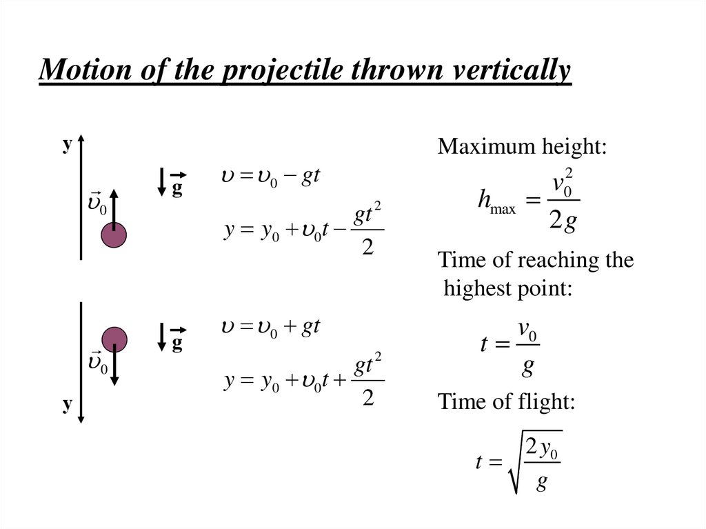 Motion of the projectile thrown vertically