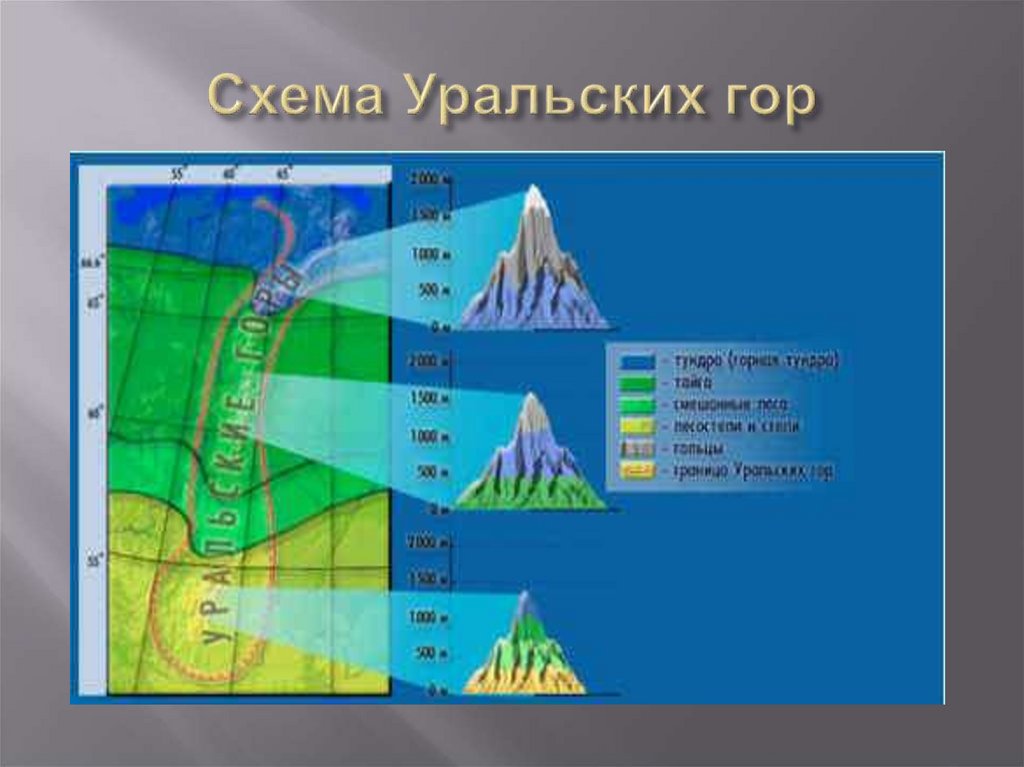 Схема уральских гор высотная поясность